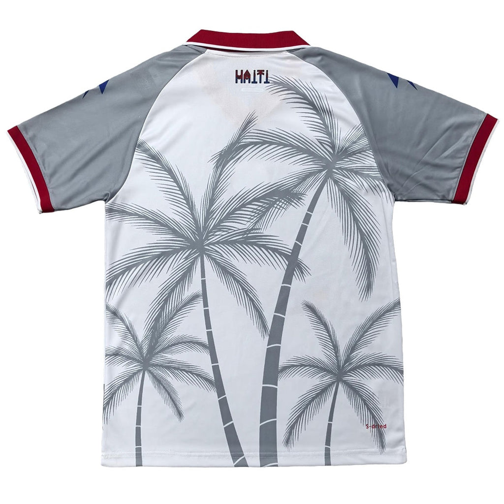 Haiti Away Soccer Jersey World Cup 2026